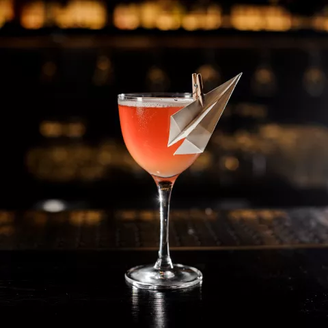 Paper Plane