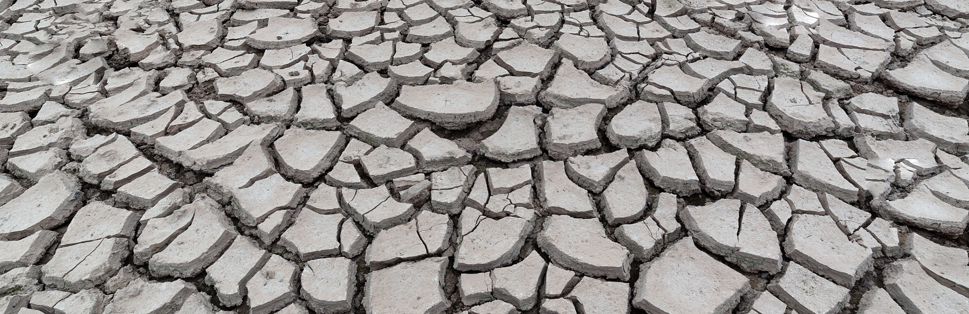 5 вопросов виноделу: Матиас Кальеха, энолог Bodegas Beronia в Риохе