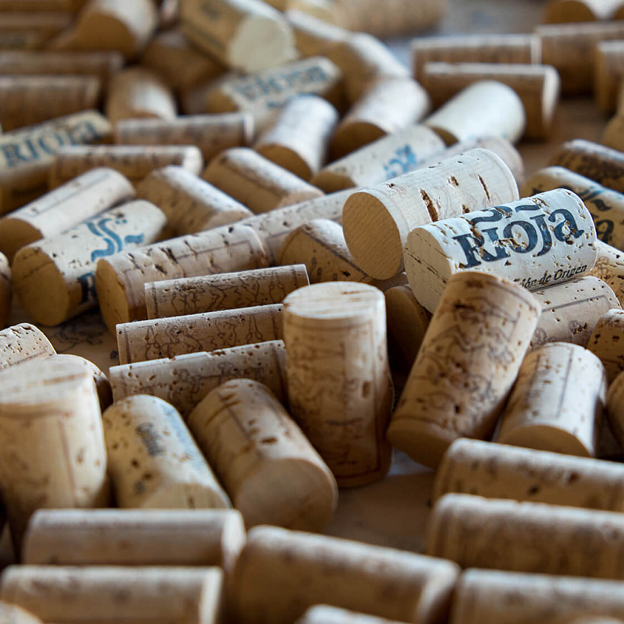 Лекция-дегустация для любителей «Виноделие Испании»