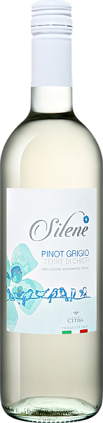 Silene Pinot Grigio Terre di Chieti IGT Citra, 0.75 л в Новосибирске