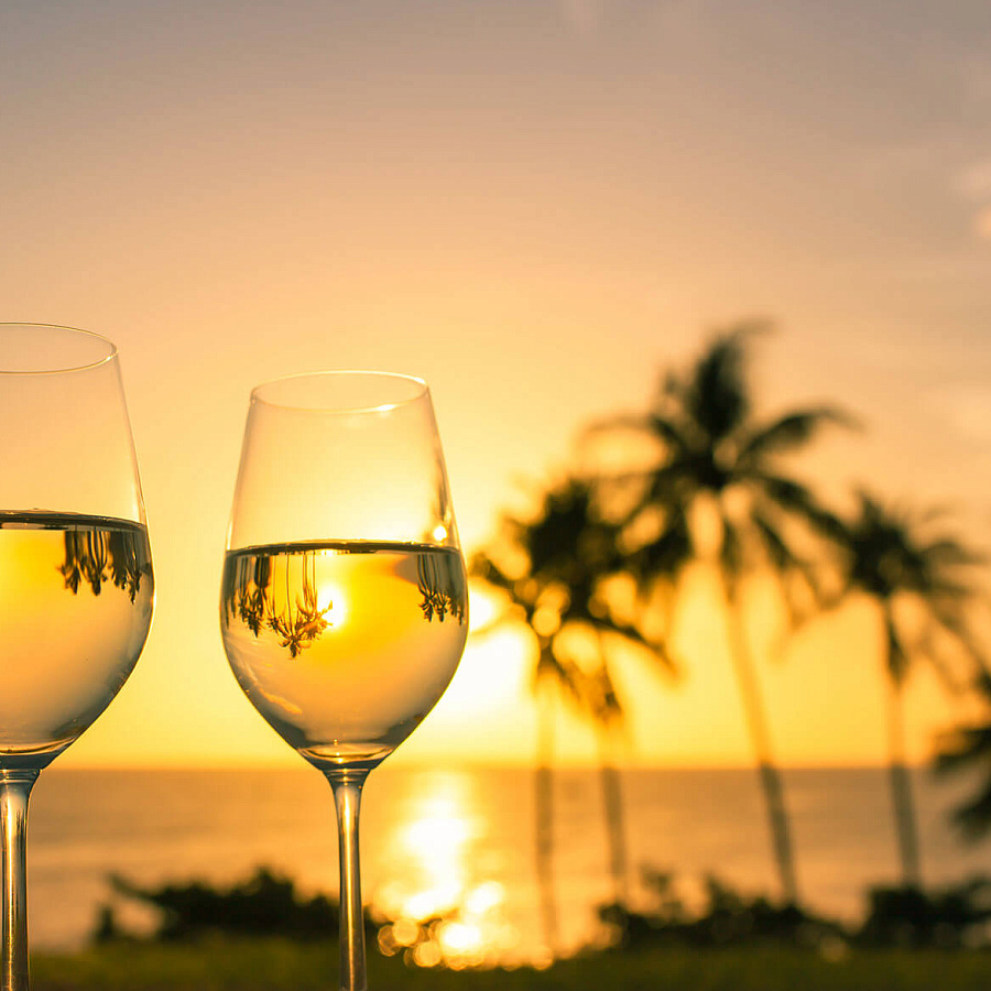 Лекция-дегустация для любителей «Такой разный совиньон блан»