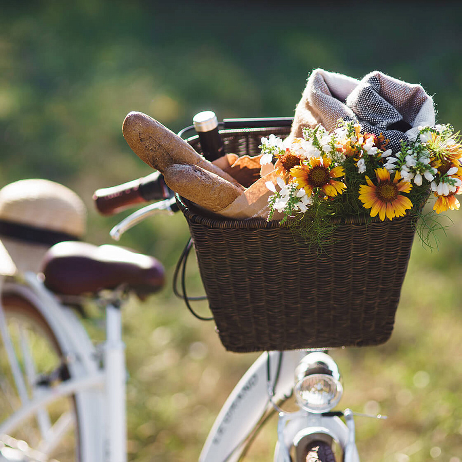 Лекция-дегустация для любителей «Виноделие Франции»